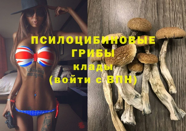 гашик Баксан